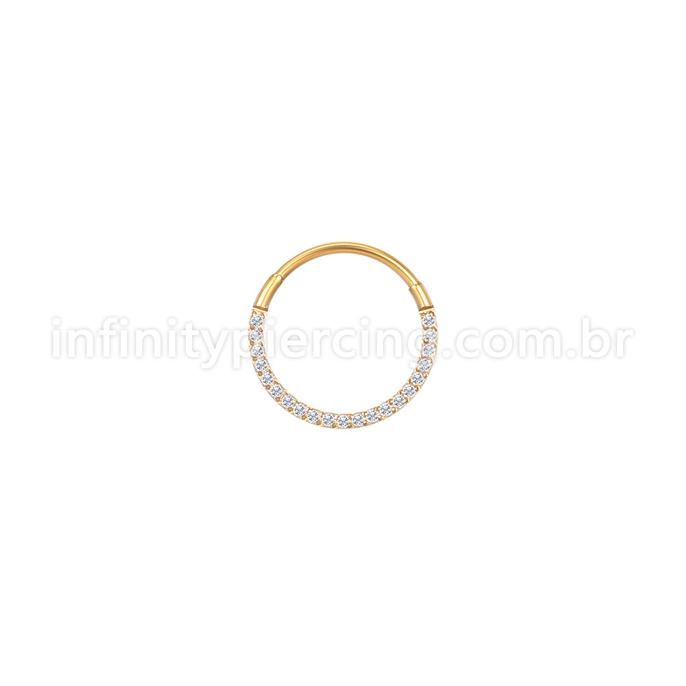 Piercing Argola Aço Cirúrgico Segmento Articulado Zircônia Frontal