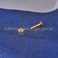 Piercing Labret Titânio Estrela Detalhado