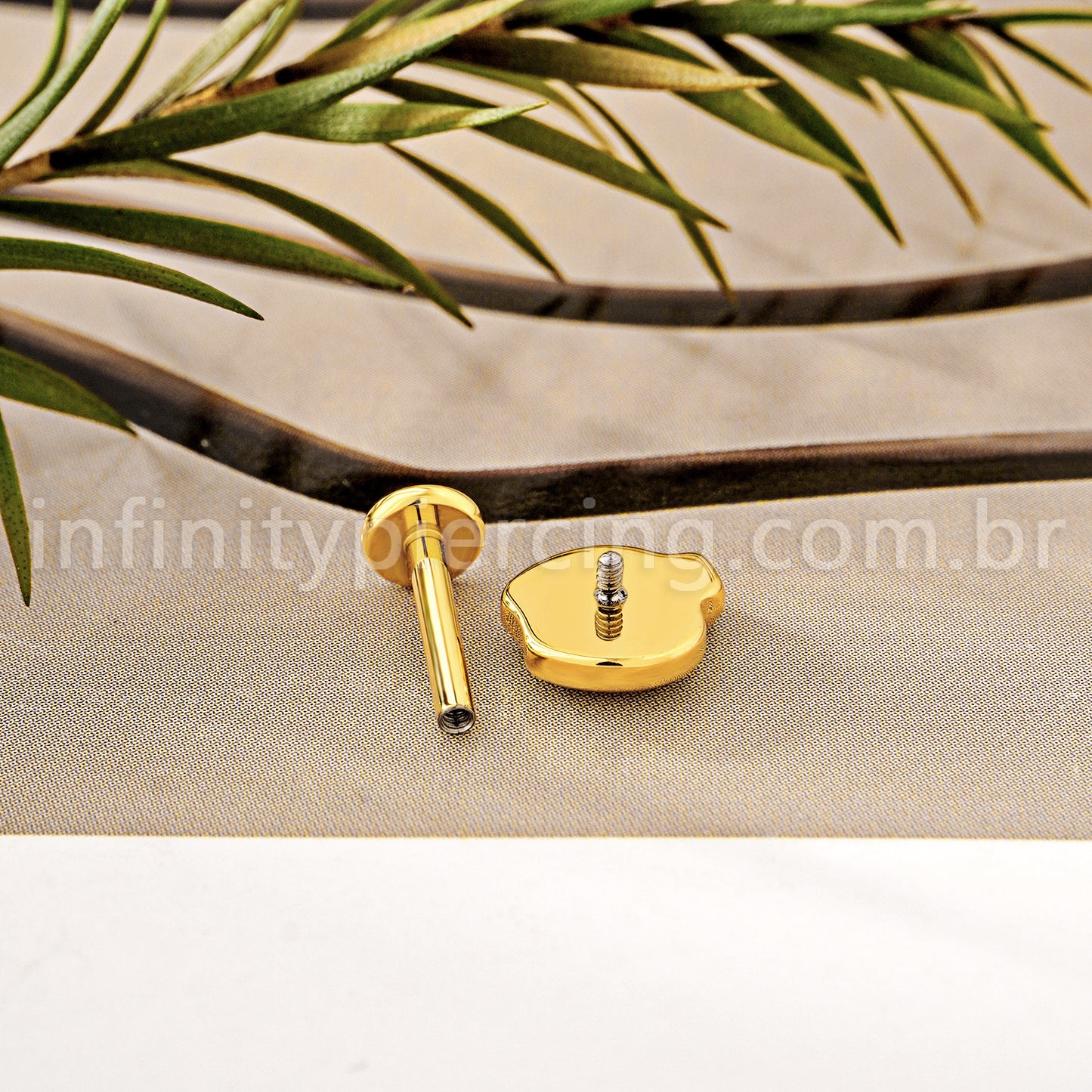 Piercing Labret Titânio Maça Zircônia Cravejada