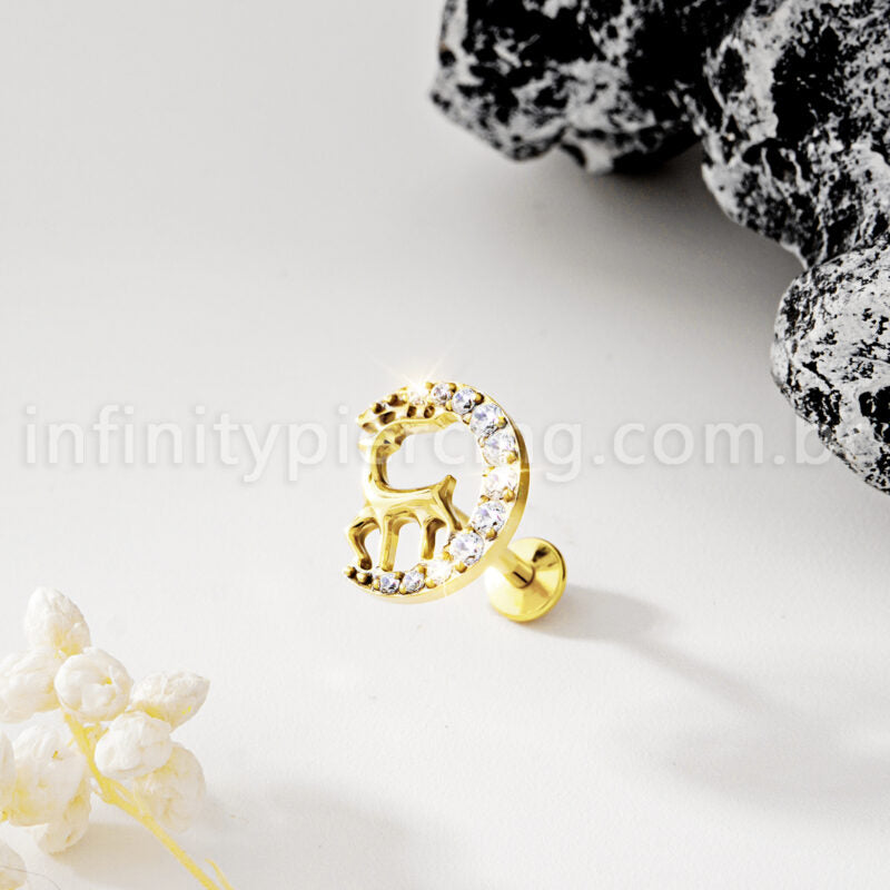Piercing Labret Titânio Alce Com Zircônia Cravejada