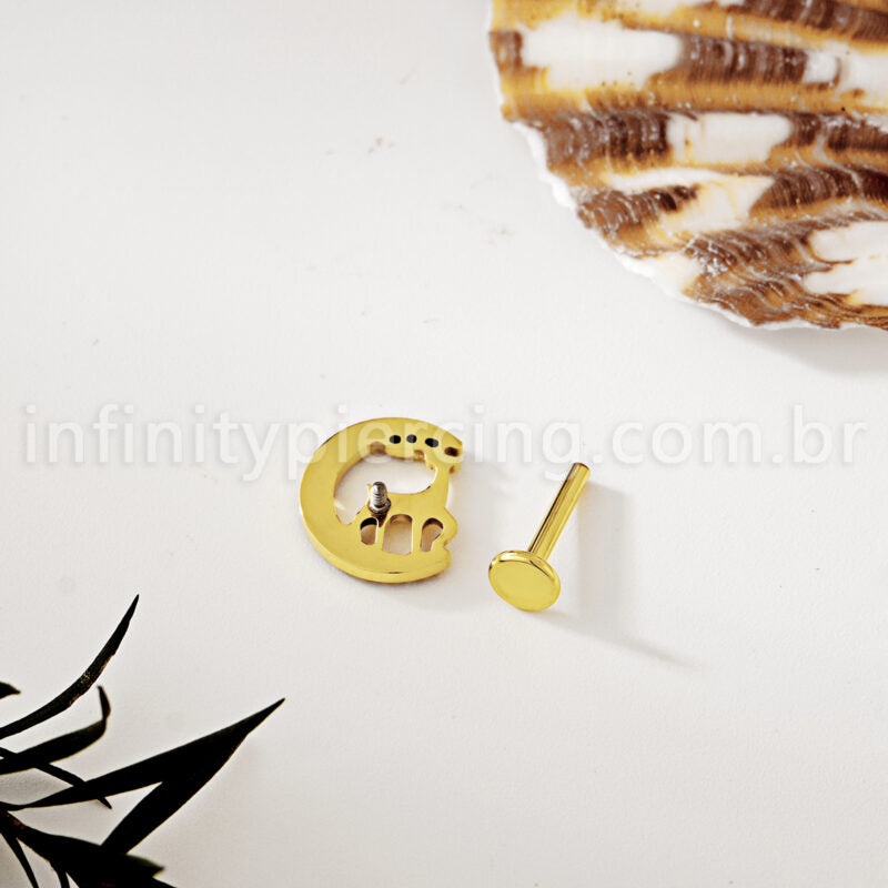 Piercing Labret Titânio Alce Com Zircônia Cravejada