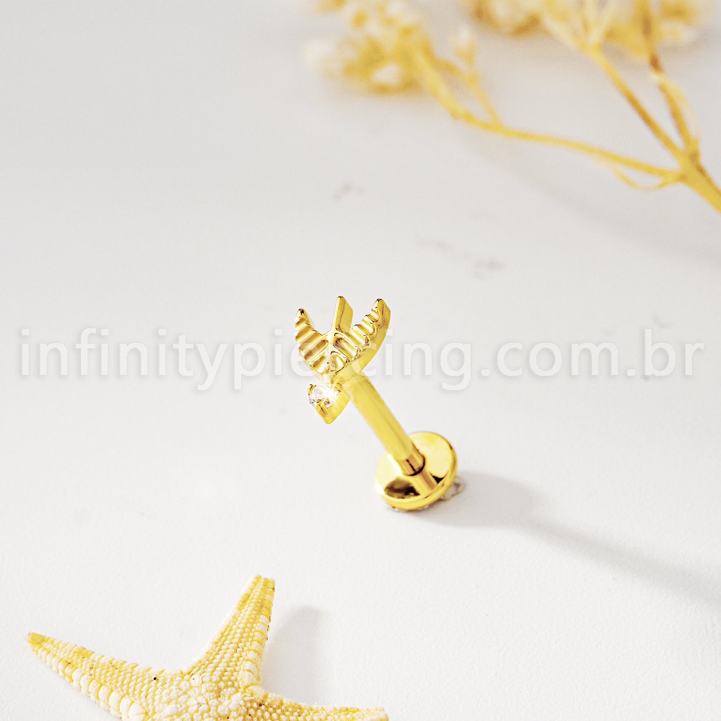 Piercing Labret Titânio Arco e Flecha Zircônia Cravejada