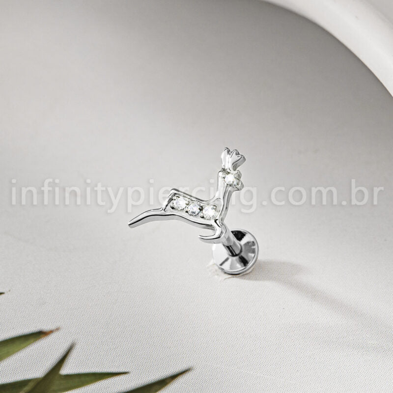 Piercing Labret Titânio Alce