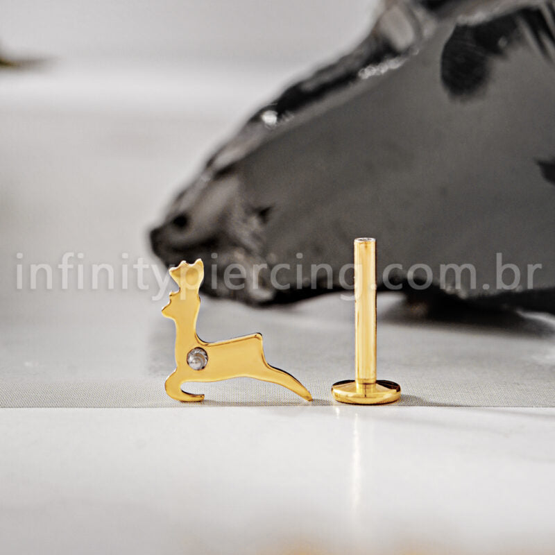 Piercing Labret Titânio Alce
