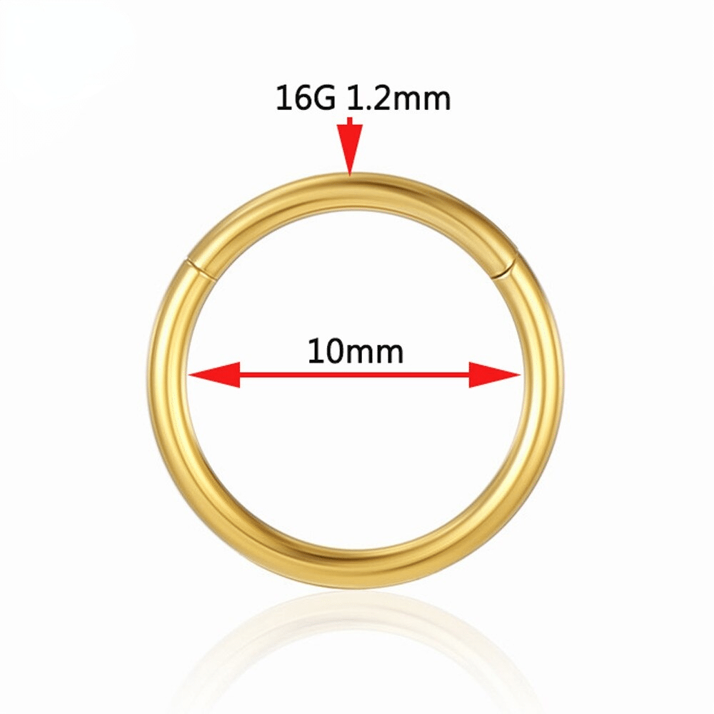 Piercing Argola Segmento Articulado Aço Cirúrgico Zircônia 2 Fileiras Vazadas