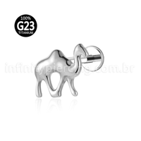 Piercing Labret Camelo Titânio