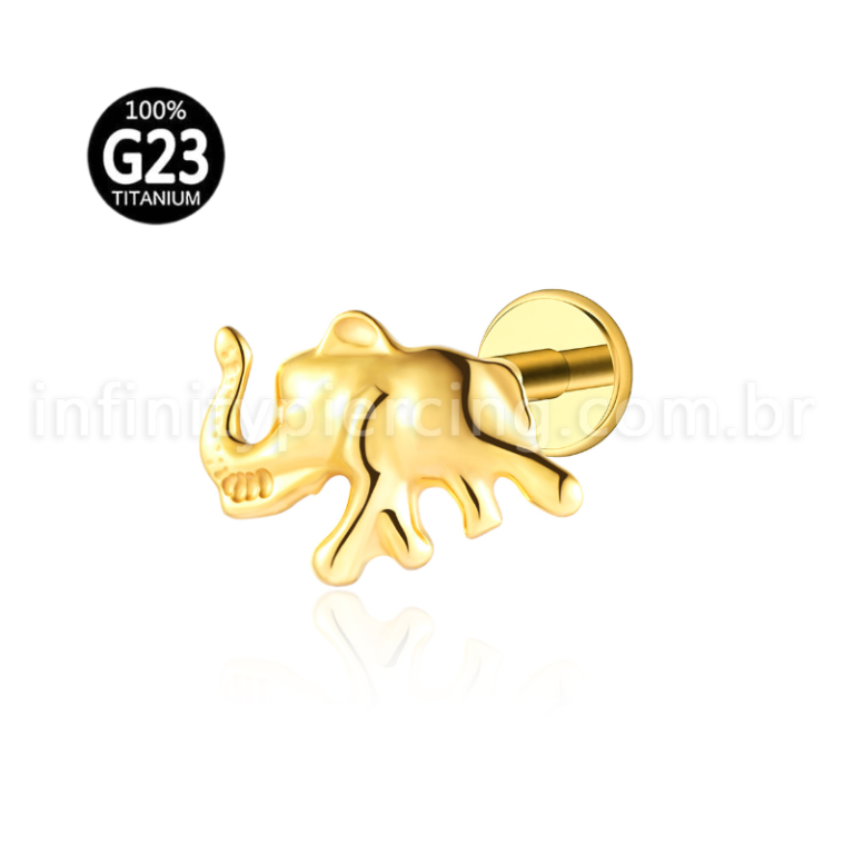 Piercing Labret Titânio Elefante