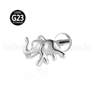 Piercing Labret Titânio Elefante