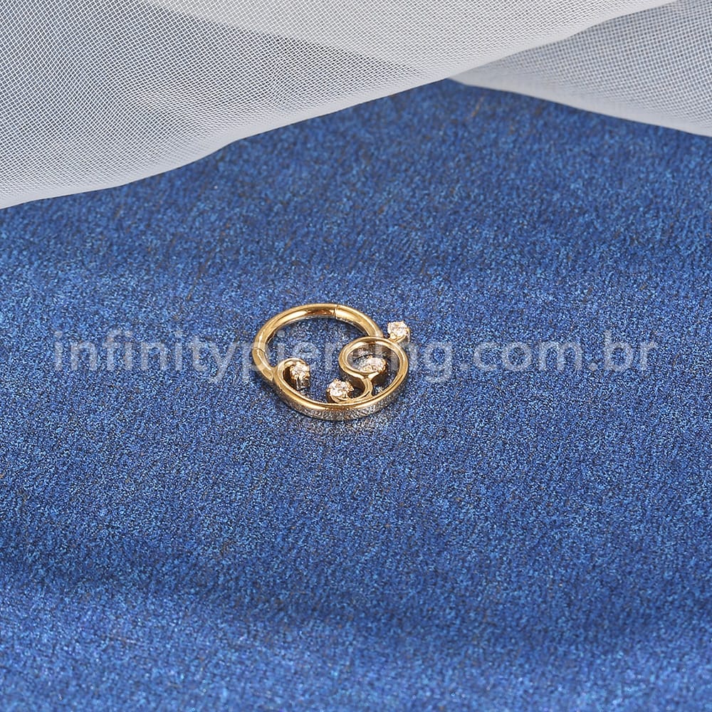Piercing Argola Aço Cirúrgico Detalhes Com Zircônia Cravejada