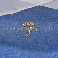 Piercing Argola Aço Cirúrgico Detalhes Com Zircônia Cravejada