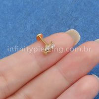 Piercing Labret Titânio Folhas Zircônias Cravejadas