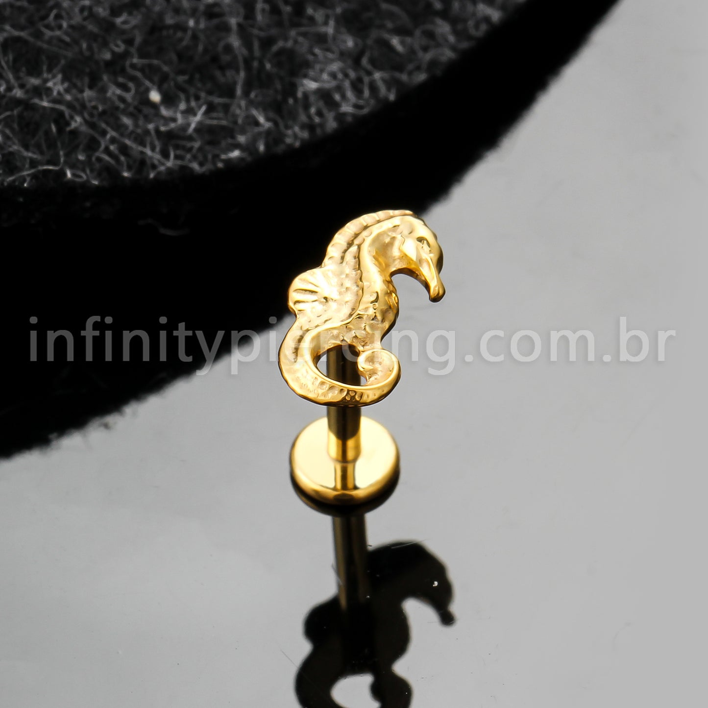 Piercing Labret Titânio Cavalo Marinho