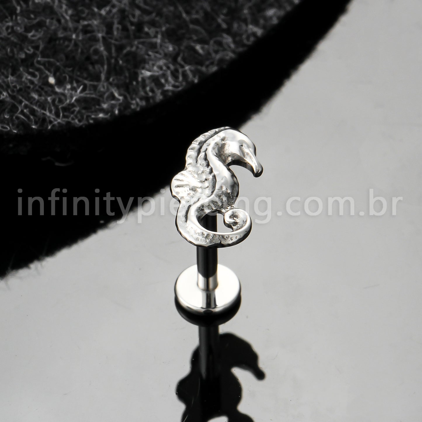 Piercing Labret Titânio Cavalo Marinho