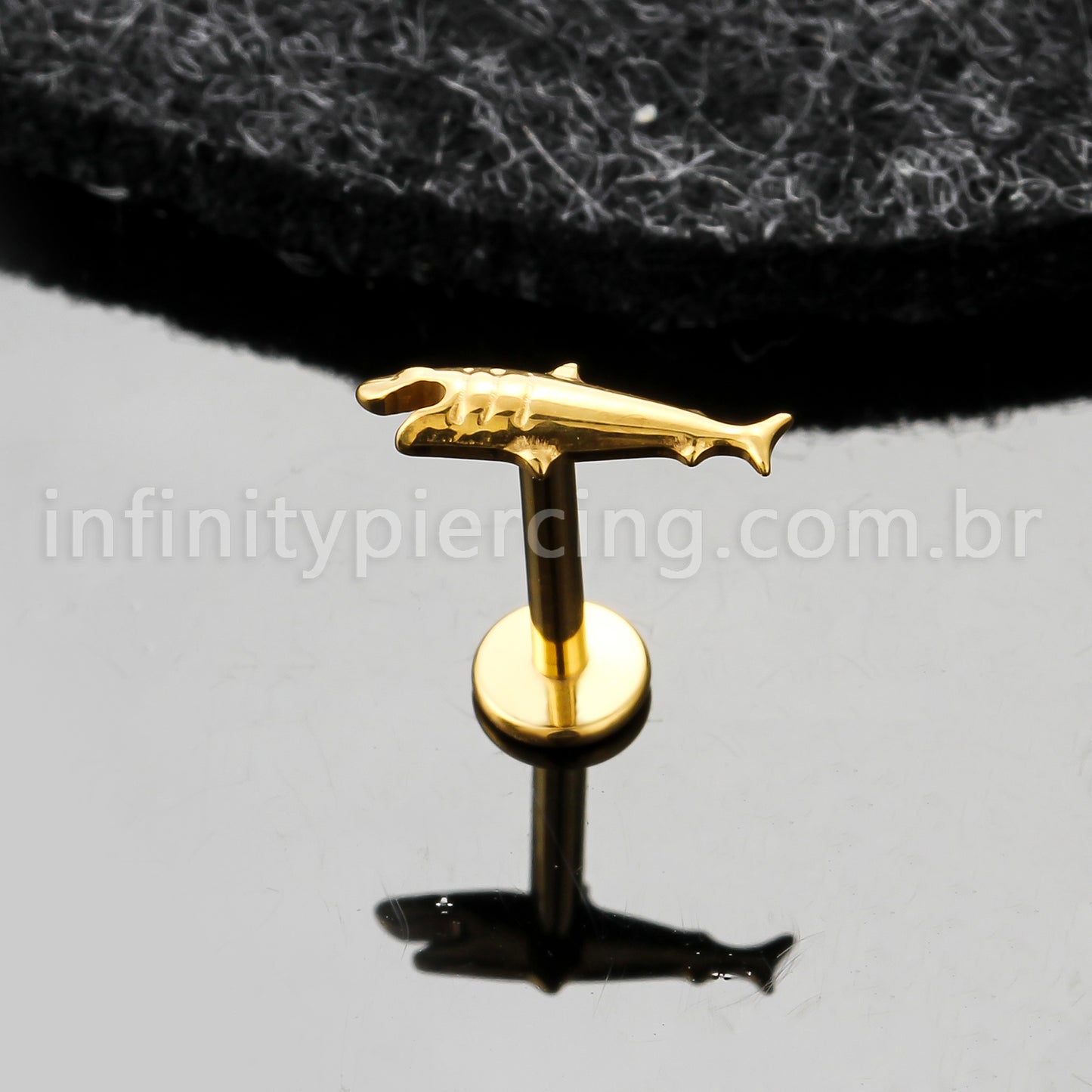 Piercing Labret Titânio Tubarão