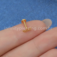 Piercing Labret Titânio Folhas Detalhadas
