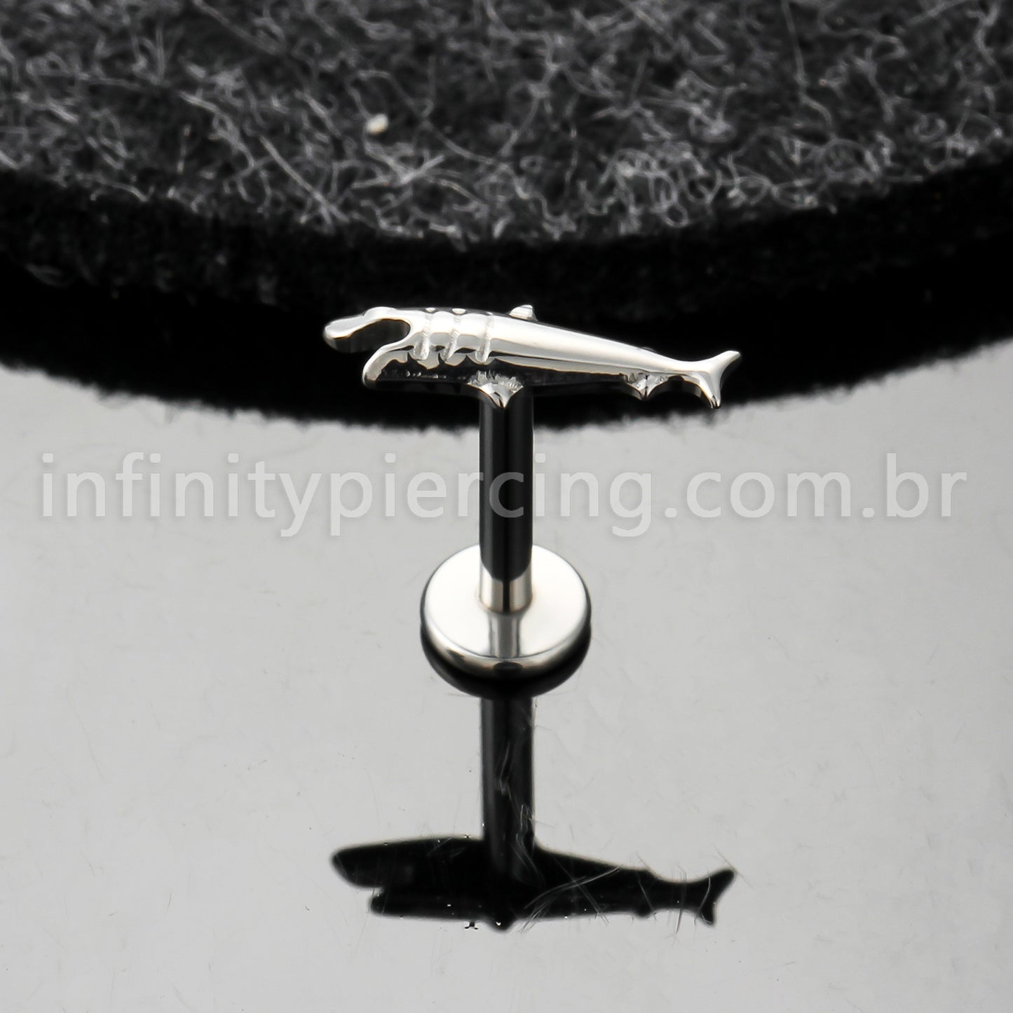 Piercing Labret Titânio Tubarão