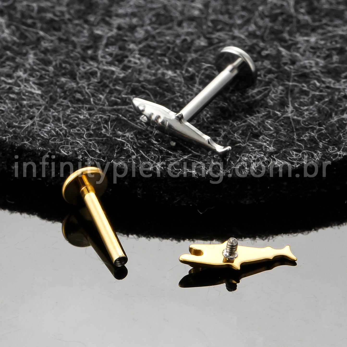 Piercing Labret Titânio Tubarão