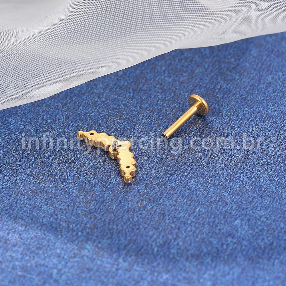 Piercing Labret Titânio Cluster Flores Zircônia
