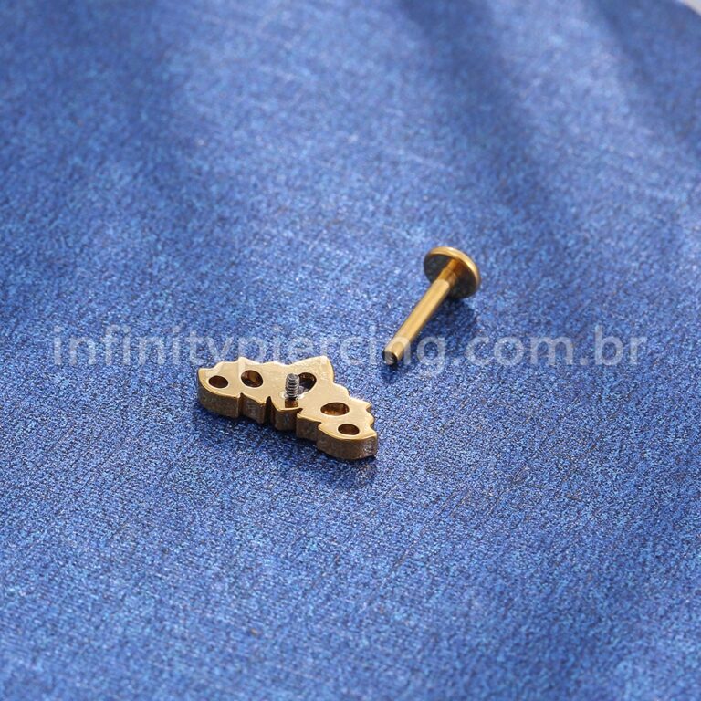 Piercing Labret Titânio Folhas Zircônia