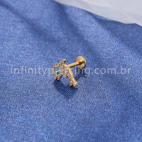 Piercing Labret Titânio Golfinho Zircônia