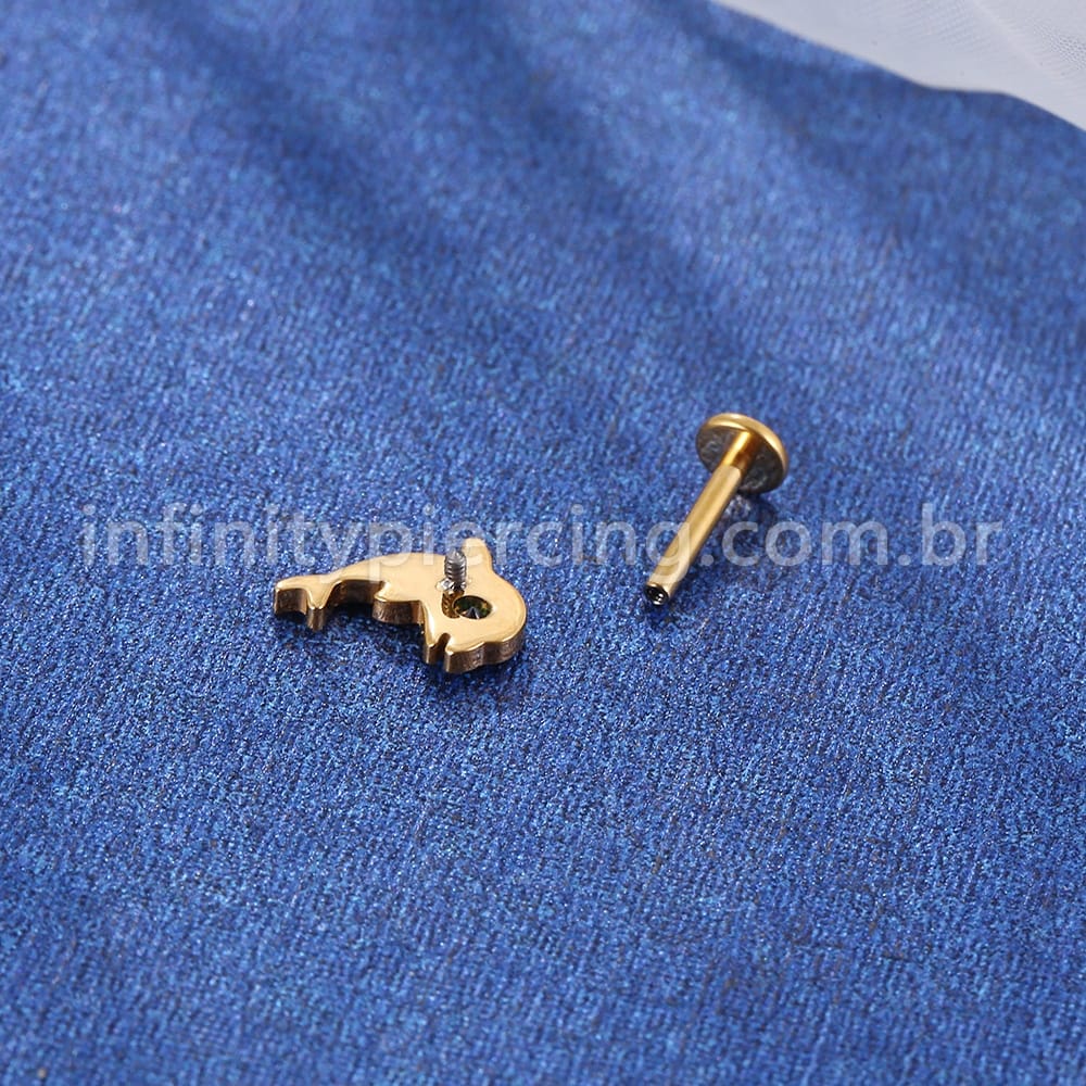 Piercing Labret Titânio Golfinho Zircônia