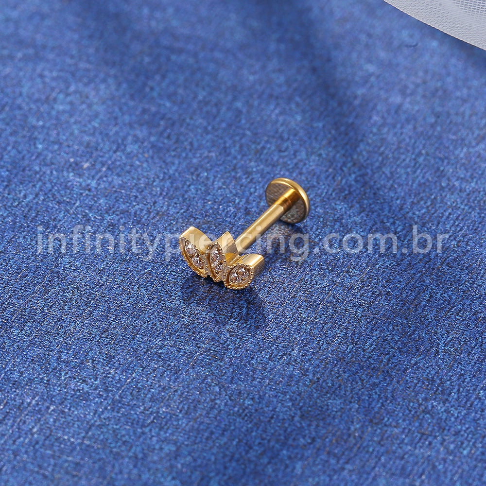 Piercing Labret Titânio Folhas Zircônia