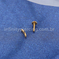 Piercing Labret Titânio Barra Curva Zircônia