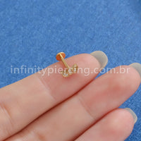 Piercing Labret Titânio Folhas Zircônia