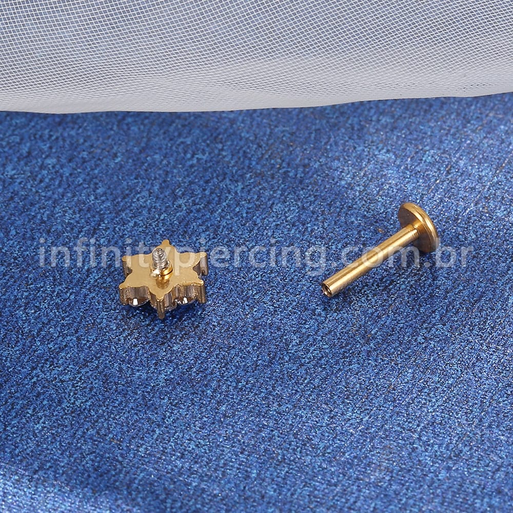Piercing Labret Aço Cirúrgico Flor Zircônia