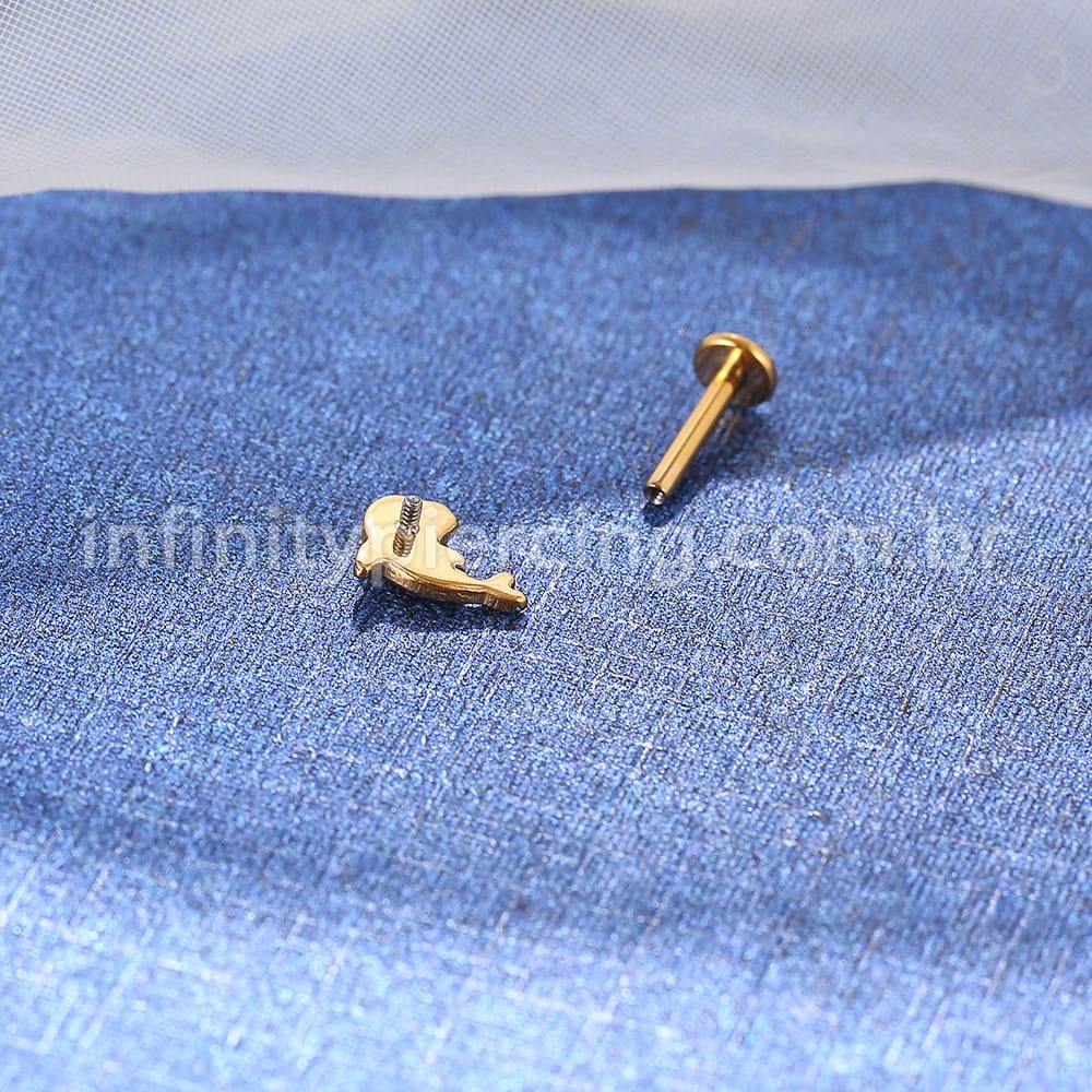 Piercing Labret Titânio Golfinho