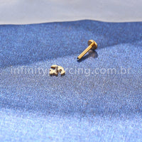 Piercing Labret Titânio Ancora