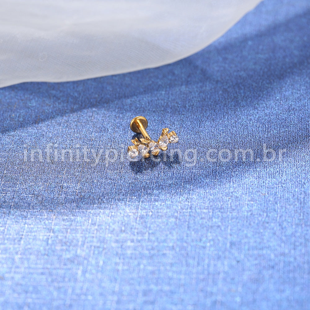 Piercing Labret Titânio Cluster Mini Peixes Zircônia