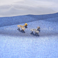 Piercing Labret Titânio Cluster Mini Peixes Zircônia