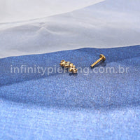 Piercing Labret Titânio Cluster Mini Peixes Zircônia