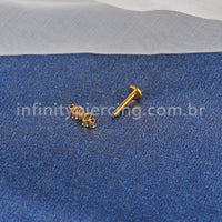 Piercing Labret Titânio 5 Zircônias