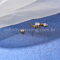 Piercing Banana Titânio Zircônia Pingente Cisne