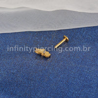 Piercing Labret Titânio Pinguim