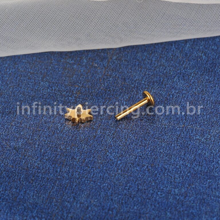 Piercing Labret Titânio Folha