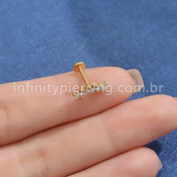 Piercing Labret Titânio Cluster Mini Peixes Zircônia