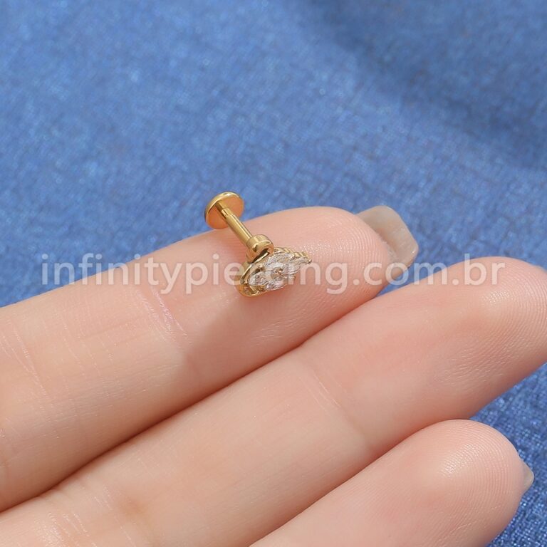 Piercing Labret Titânio Cisne Zircônia
