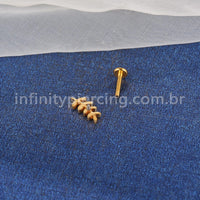 Piercing Labret Titânio Galho