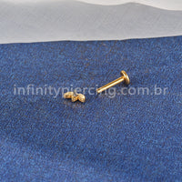 Piercing Labret Titânio Folhas