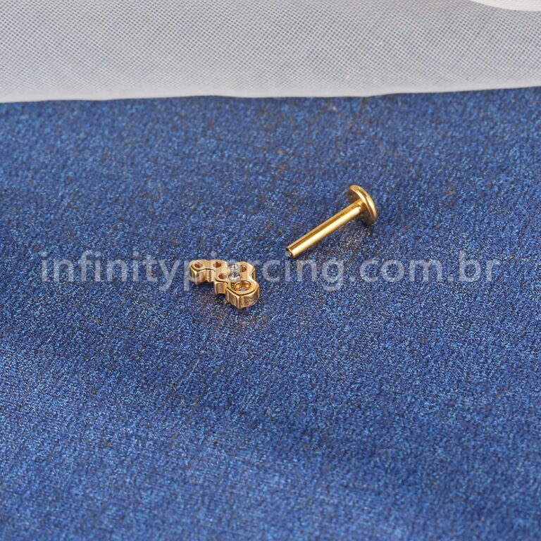 Piercing Labret Titânio 5 Zircônias