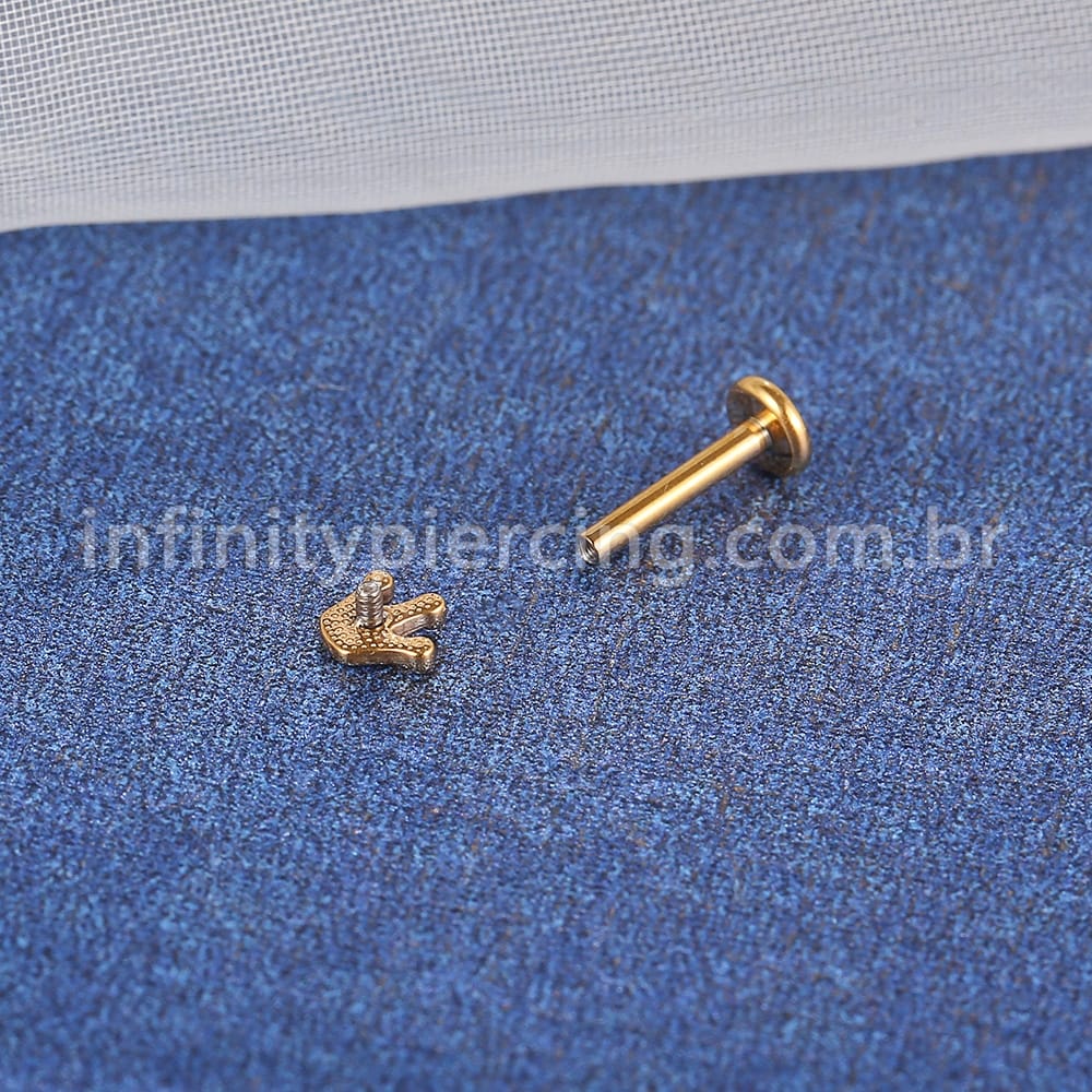 Piercing Labret Aço Cirúrgico Coroa