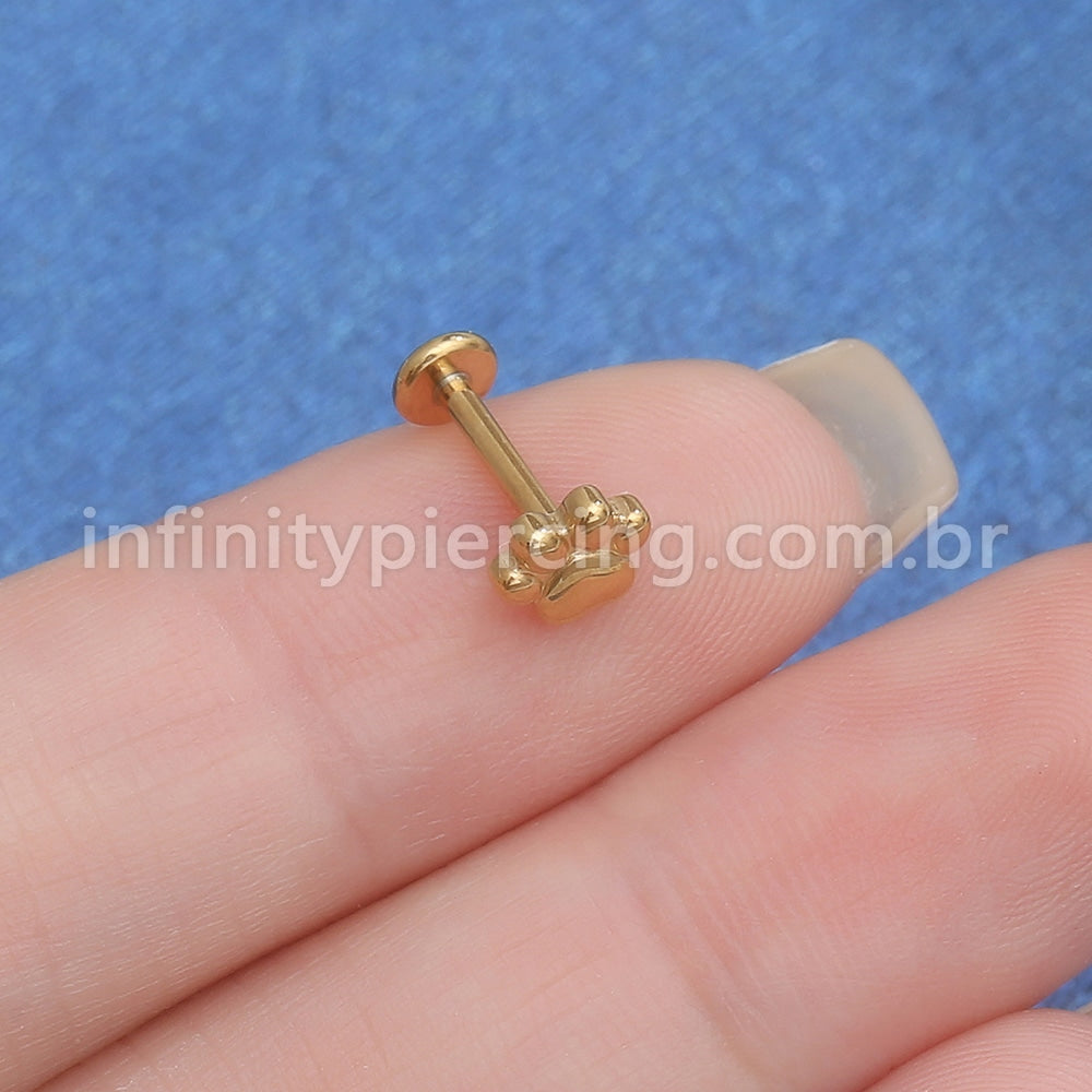 Piercing Labret Aço Cirúrgico Patinha