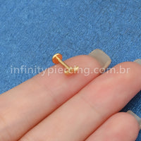 Piercing Labret Titânio Folhas