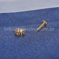 Piercing Labret Titânio Flor Zircônia
