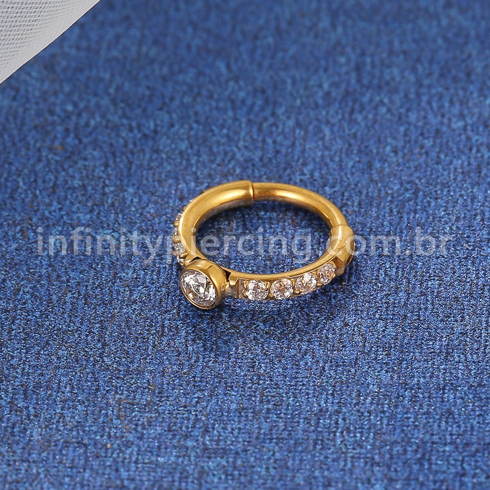 Piercing Argola Titânio Segmento Articulo Zircônia Redonda Cravejada