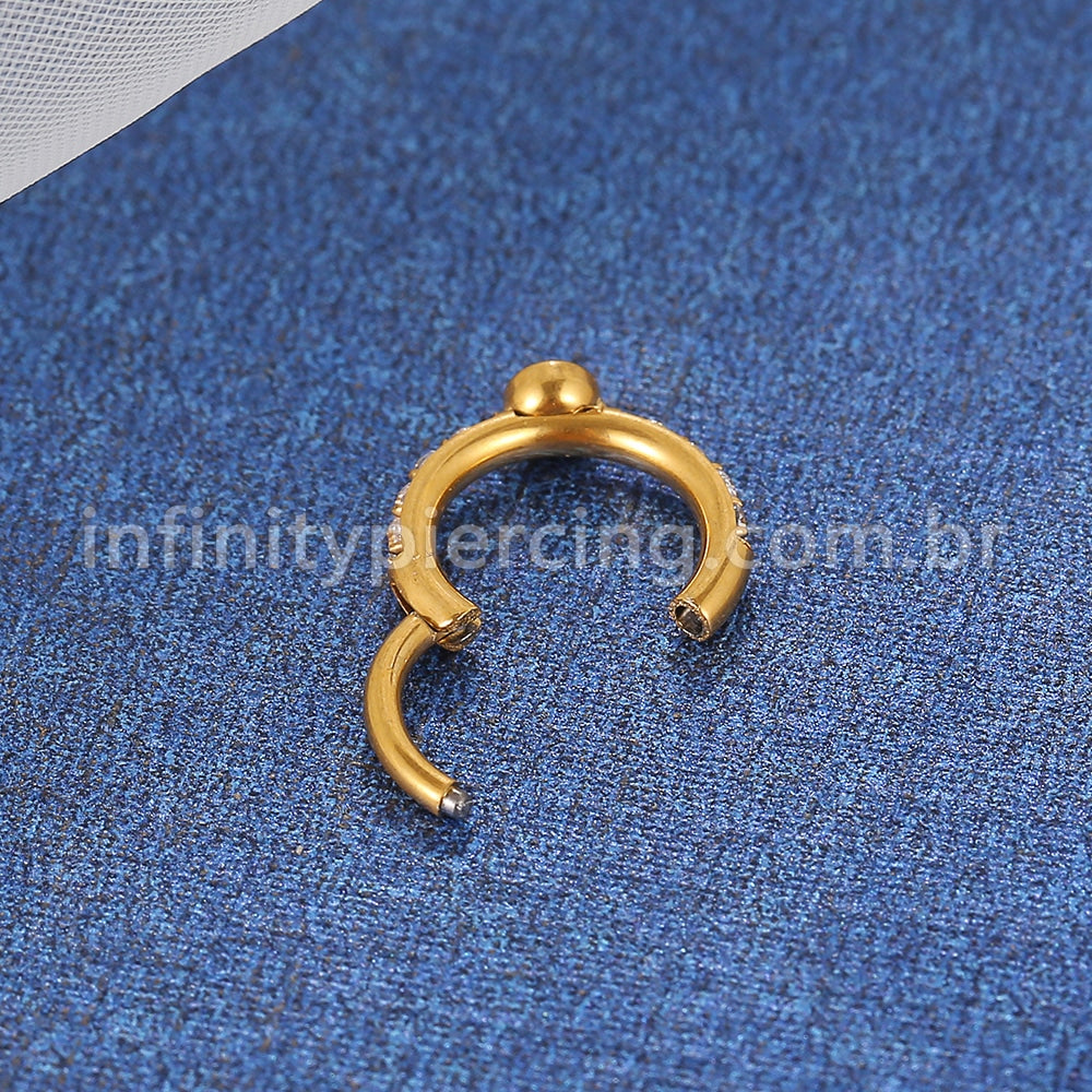 Piercing Argola Titânio Segmento Articulo Zircônia Redonda Cravejada