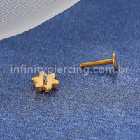 Piercing Labret Titânio Flor 1 Zircônia